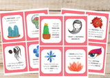 Positive Affirmation Cards for Moms