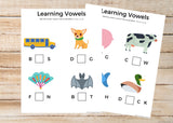 ABCs / Phonics / Rhyming BUNDLE (45 Worksheets)