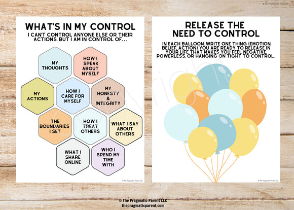 What's In and Out of My Control Posters and Worksheet