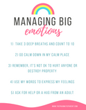 Managing Big Emotions: Dealing with Defiant Behavior