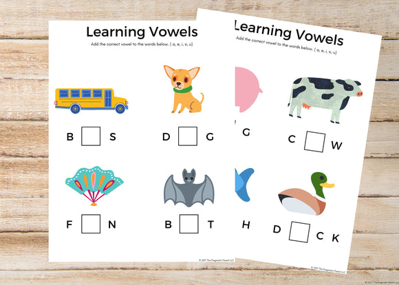Learning Vowels Worksheets